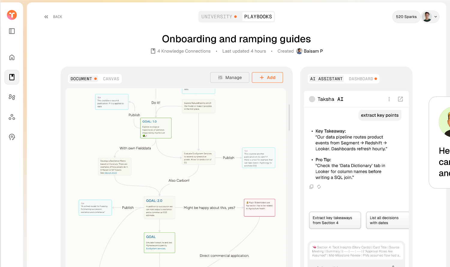 Playbook canvas view for faster visual consumption